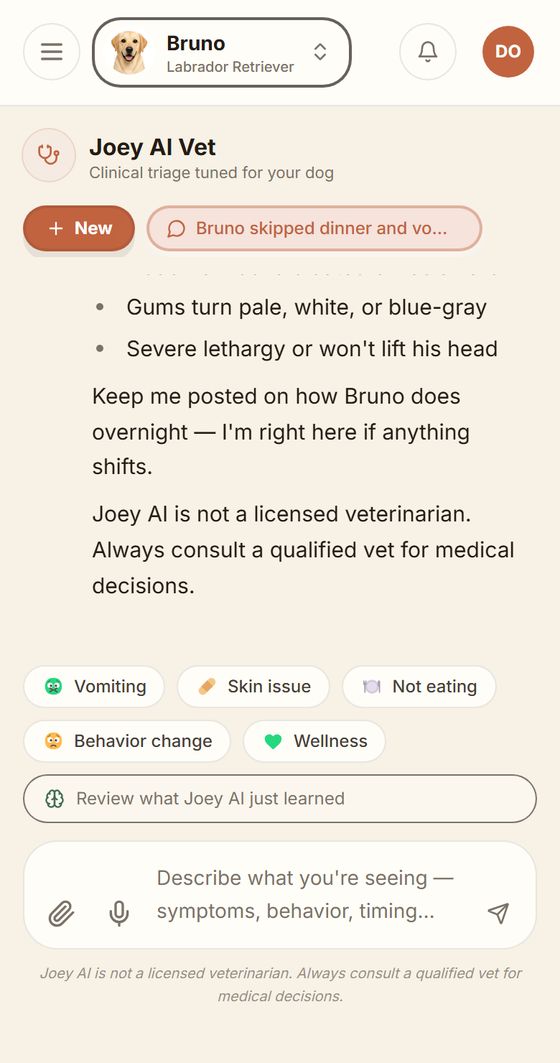The same Joey AI Vet conversation showing the overnight plan: warning signs to watch for, including pale gums and severe lethargy, followed by the veterinary disclaimer.